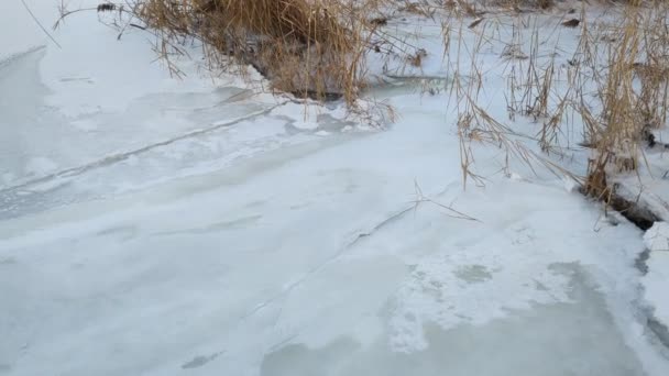 Paysage Hivernal Lumineux Rivière Gelée Coucher Soleil — Video