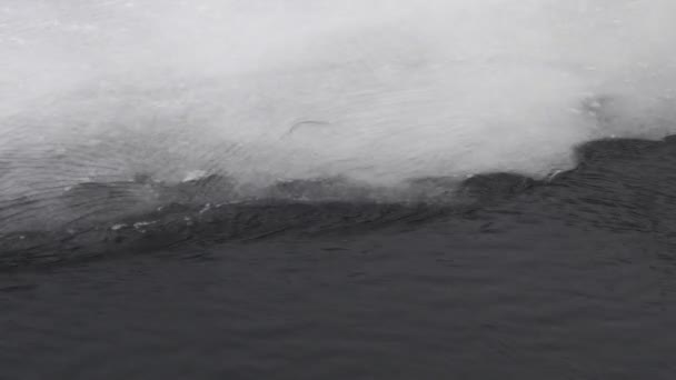 Hielo Río Agua Congelada Hermosos Témpanos Hielo Hielo Está Derritiendo — Vídeo de stock
