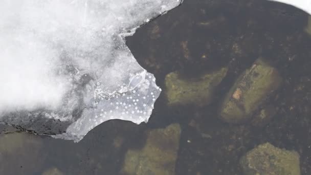 Лед Реке Замерзшая Вода Красивые Льдины Лед Тает — стоковое видео