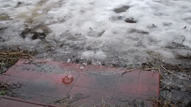 大量の雨が降りました 水溜りと大雨 水たまりと雪だ 氷が溶けてる 水の流れ — ストック動画