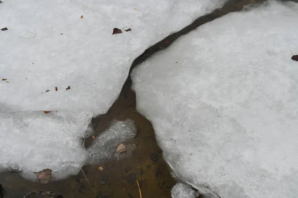 ice floes float in the water. cracked ice. frozen river. ice melts