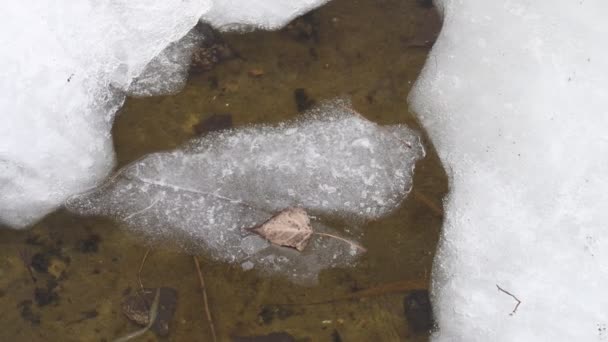 Los Témpanos Flotan Agua Hielo Agrietado Río Congelado Hielo Derrite — Vídeo de stock