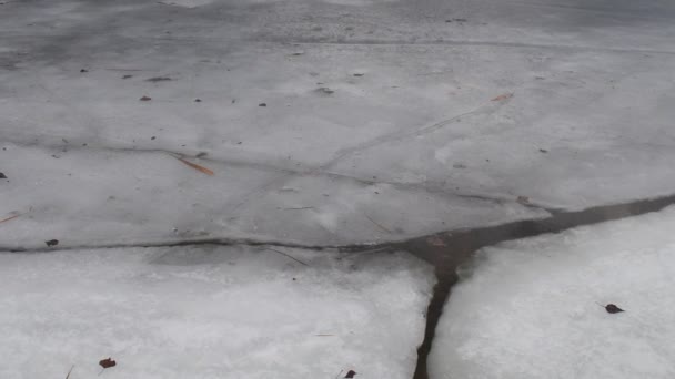 Buz Kütleleri Suda Yüzer Kırık Buz Donmuş Nehir Buz Erir — Stok video