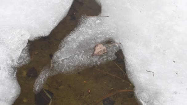 Floes Glace Flottent Dans Eau Glace Fissurée Rivière Gelée Fonte — Video