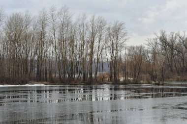 Buz nehirde erir. Donmuş nehir manzarası