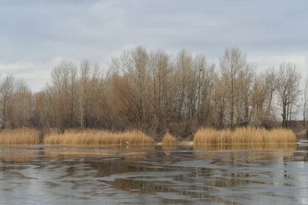 Eis Schmilzt Auf Dem Fluss Landschaft Mit Gefrorenem Fluss — Stockfoto