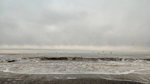 Vagues Mer Mousse Mer Rivage Vagues Tempête Sur Océan — Photo