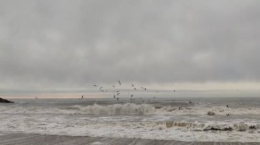 Denizde dalgalar. Deniz köpüğü. Kıyı ve dalgalar. Okyanusta fırtına.