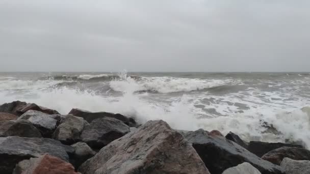 Waves Sea Sea Foam Shore Waves Storm Ocean — Stock Video