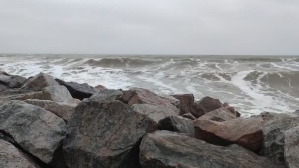 Waves Sea Sea Foam Shore Waves Storm Ocean — Stock Video