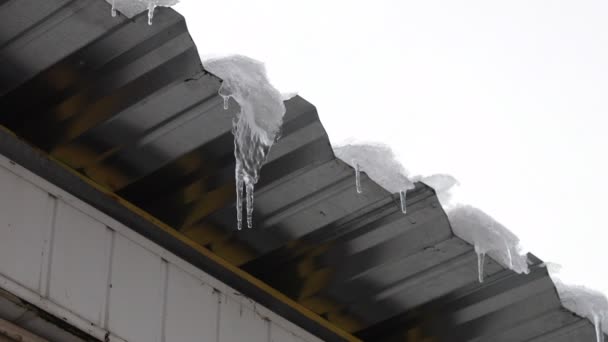 Sople Dachu Śnieg Lód Topnieją Sople Lodu Kapie Krople Wiosenne — Wideo stockowe