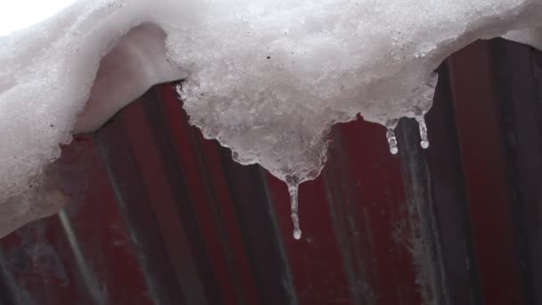 屋顶上的冰柱 冰雪融化了 冰柱滴落 — 图库视频影像