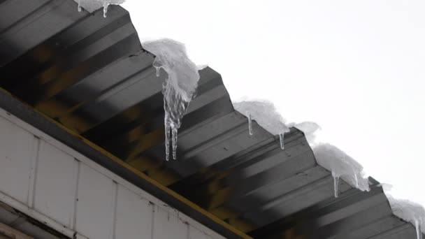 屋根の上のつらら 雪と氷が融ける つららが滴り落ちる 春の滴 — ストック動画