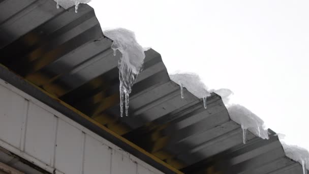 Icicles Telhado Neve Gelo Derretem Ciclos Pingar Gotas Primavera — Vídeo de Stock