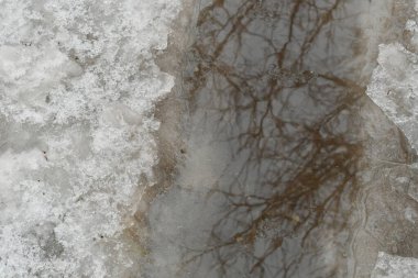 Su birikintisi ve buz. Buz yolda erir. Su birikintisindeki yansıma. Ağaçlar suya yansır.