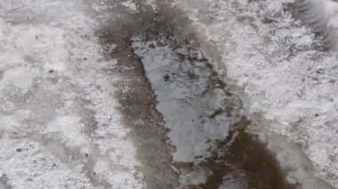 Su birikintisi ve buz. Buz yolda erir. Su birikintisindeki yansıma. Ağaçlar suya yansır.