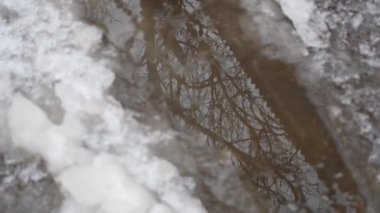 Su birikintisi ve buz. Buz yolda erir. Su birikintisindeki yansıma. Ağaçlar suya yansır.