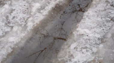 Su birikintisi ve buz. Buz yolda erir. Su birikintisindeki yansıma. Ağaçlar suya yansır.