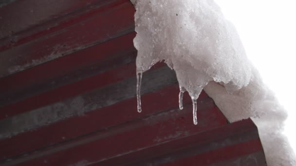 Eiszapfen Auf Dem Dach Schnee Und Eis Schmelzen Eiszapfen Tropfen — Stockvideo