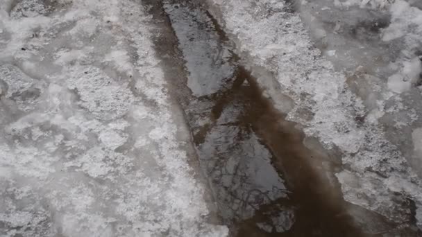 Birikintisi Buz Buz Yolda Erir Birikintisindeki Yansıma Ağaçlar Suya Yansır — Stok video
