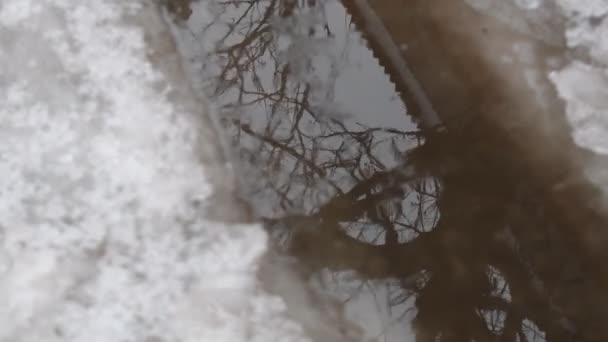 水坑和冰 路上的冰融化了 在水坑里反射 树在水里反射出来 — 图库视频影像