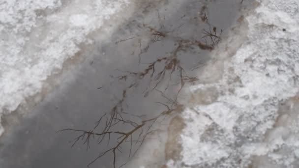 Flaque Eau Glace Glace Fond Sur Route Réflexion Dans Une — Video