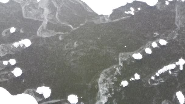 リトアニアの農村で凍った湖が砕ける氷の上を飛行する 冬のシーズン中の空中写真 セイルラガハウスの凍った湖で泳ぐアヒルや白鳥 離陸しない鳥は — ストック動画
