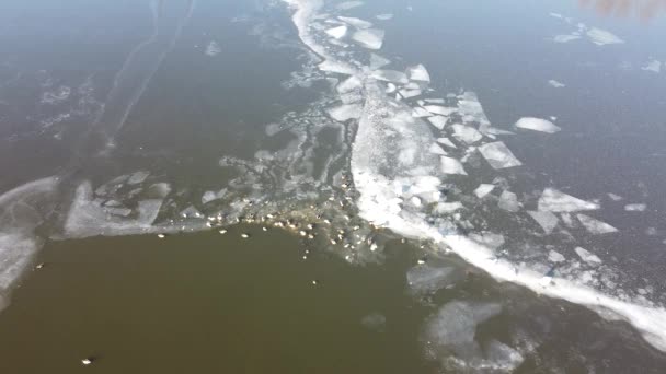 Volo Sul Lago Ghiacciato Rompendo Ghiaccio Nel Villaggio Rurale Lituania — Video Stock