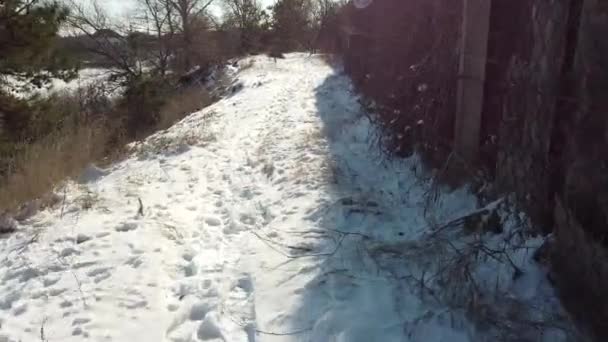 리투아니아의 마을에서 얼어붙은 있습니다 촬영을 오리와 백조는 의얼어붙은 호수에서 헤엄을 — 비디오