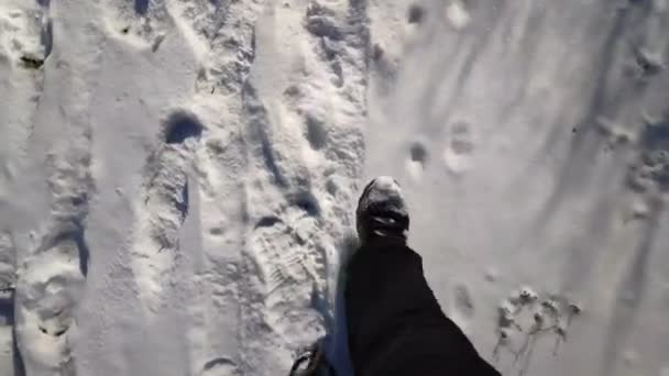 Widok Góry Męskie Stopy Spacerujące Śnieżnym Szlaku Facet Butach Depczący — Wideo stockowe