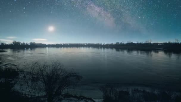 Favoloso Paesaggio Invernale Neve Natura Umore Festivo Invernale Bella Natura — Video Stock