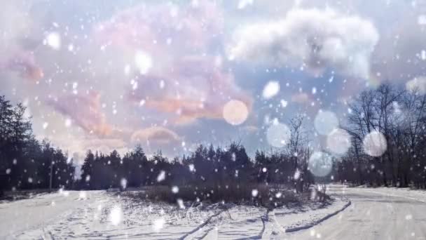 Märchenhafte Winterlandschaft Schnee Und Natur Winterfeststimmung Schöne Natur Winter — Stockvideo
