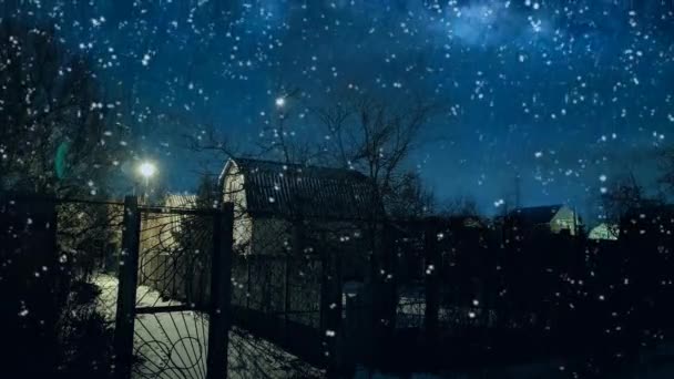 Bela Queda Neve Noite Neve Noite Cai Iluminada Pela Luz — Vídeo de Stock