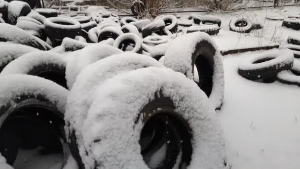 Neumáticos Viejos Nieve Almacén Goma Vieja Muchos Neumáticos Desechados Ruedas — Vídeos de Stock