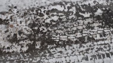 Donmuş ayak izleri. Buzda ayak izleri. Karda ayak izleri, karla kaplı şehir sokakları..