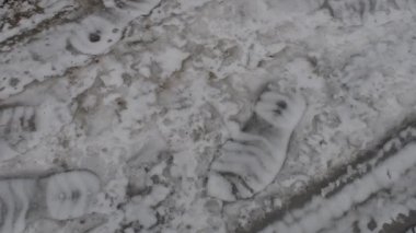 Donmuş ayak izleri. Buzda ayak izleri. Karda ayak izleri, karla kaplı şehir sokakları..