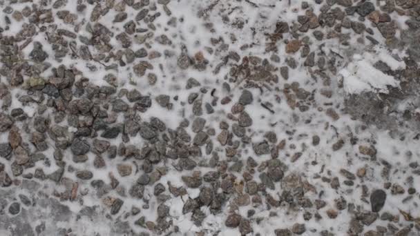 冻死的脚印冰上有脚印雪中的脚印和脚印 雪中覆盖的城市街道 — 图库视频影像