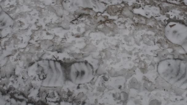 Заморожені Сліди Відбитки Ніг Льоду Клички Сліди Снігу Міська Вулиця — стокове відео