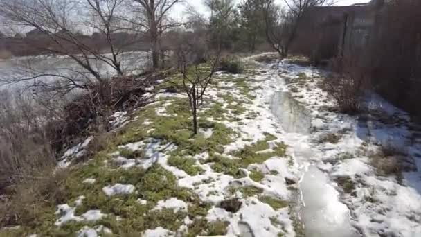春天雪融化了 把雪融化在犁地里 春天的时候接近融化的雪 多莉在 白雪公主在春日的光芒下融化 去年的草地上 融化的水滴流了下来 — 图库视频影像