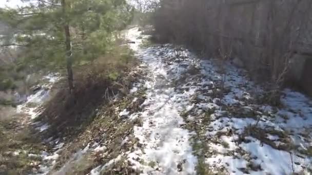 春には雪が融ける 耕された畑で雪を溶かす 春の時間だ 融雪の終わり ドリー 雪が降る春の太陽の光の下で融雪する 昨年の草の上に溶融水の流れの低下 — ストック動画