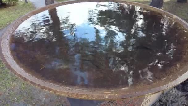 Água Uma Tigela Pedra Reflexão Água Recipiente Com Água Vídeo — Vídeo de Stock