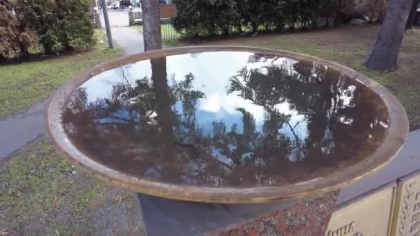 Agua Tazón Piedra Reflexión Agua Recipiente Con Agua Vídeo Hermoso — Vídeo de stock