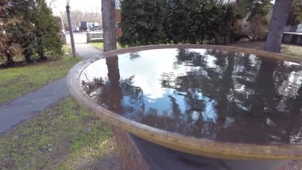 石のボウルに水 水の中の反射 水の入った容器だ 4Kビデオ 水面の美しい揺れが — ストック動画