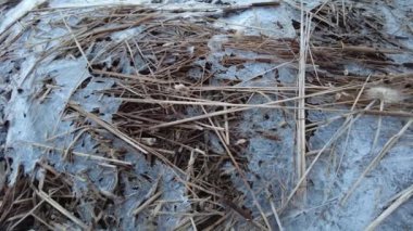 Nehirde buzlar kırıldı. Nehir kenarındaki bahar manzarası. Buz ve su parçaları.