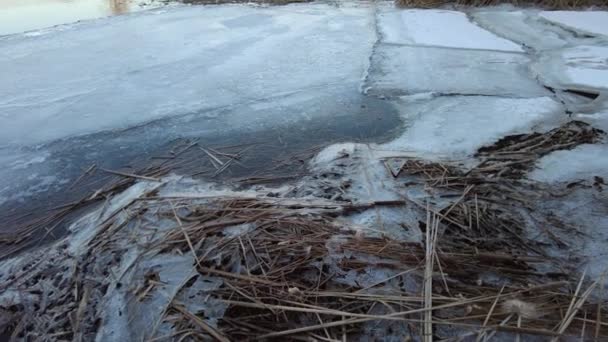 川の氷が割れた 川沿いの春の風景 氷と水の破片 — ストック動画