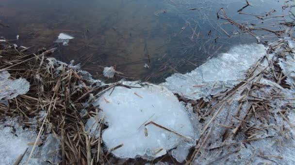 川の氷が割れた 川沿いの春の風景 氷と水の破片 — ストック動画