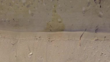 Nehirdeki temiz su. Nehrin dibinde temiz kum var. Sakin su. Güzel nehir kıyısı