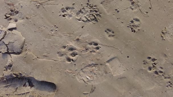 Відбитки Піску Відбитки Піску Красивий Пісок Березі Річковий Пляж Річка — стокове відео
