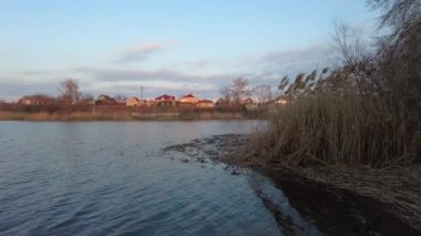 Bulutlu bir nehirde gün batımı ya da şafak vakti ve güneş ışınları kıyıda yetişen nilüferler ve ağaçlar sulara yansıyor. Peyzaj. Gün batımı nehir sisi manzarası. Nehir batımı sis manzarası. Gün batımı kırsal nehir manzarası. Gün batımı nehir sahnesi