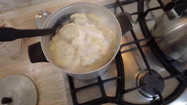 Dumplings Una Cacerola Las Albóndigas Caseras Cocinan Una Cacerola Con — Vídeos de Stock